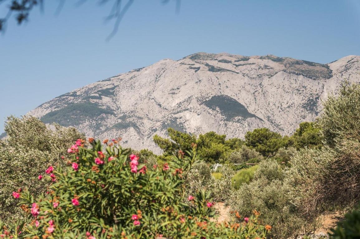 Vigla-Βίγλα 1 2 Villa Ormos  Exterior photo