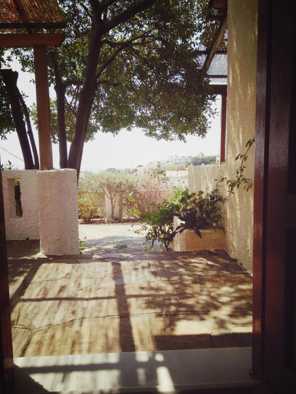 Vigla-Βίγλα 1 2 Villa Ormos  Exterior photo