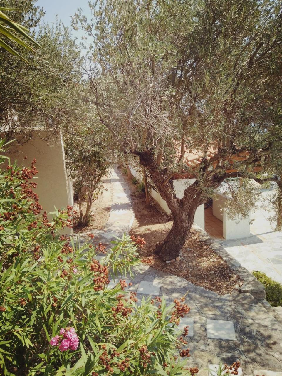 Vigla-Βίγλα 1 2 Villa Ormos  Exterior photo