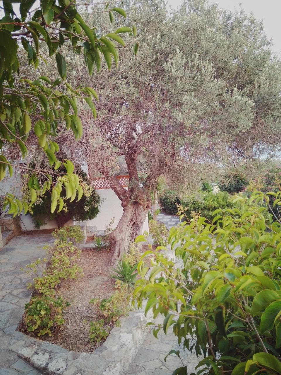 Vigla-Βίγλα 1 2 Villa Ormos  Exterior photo