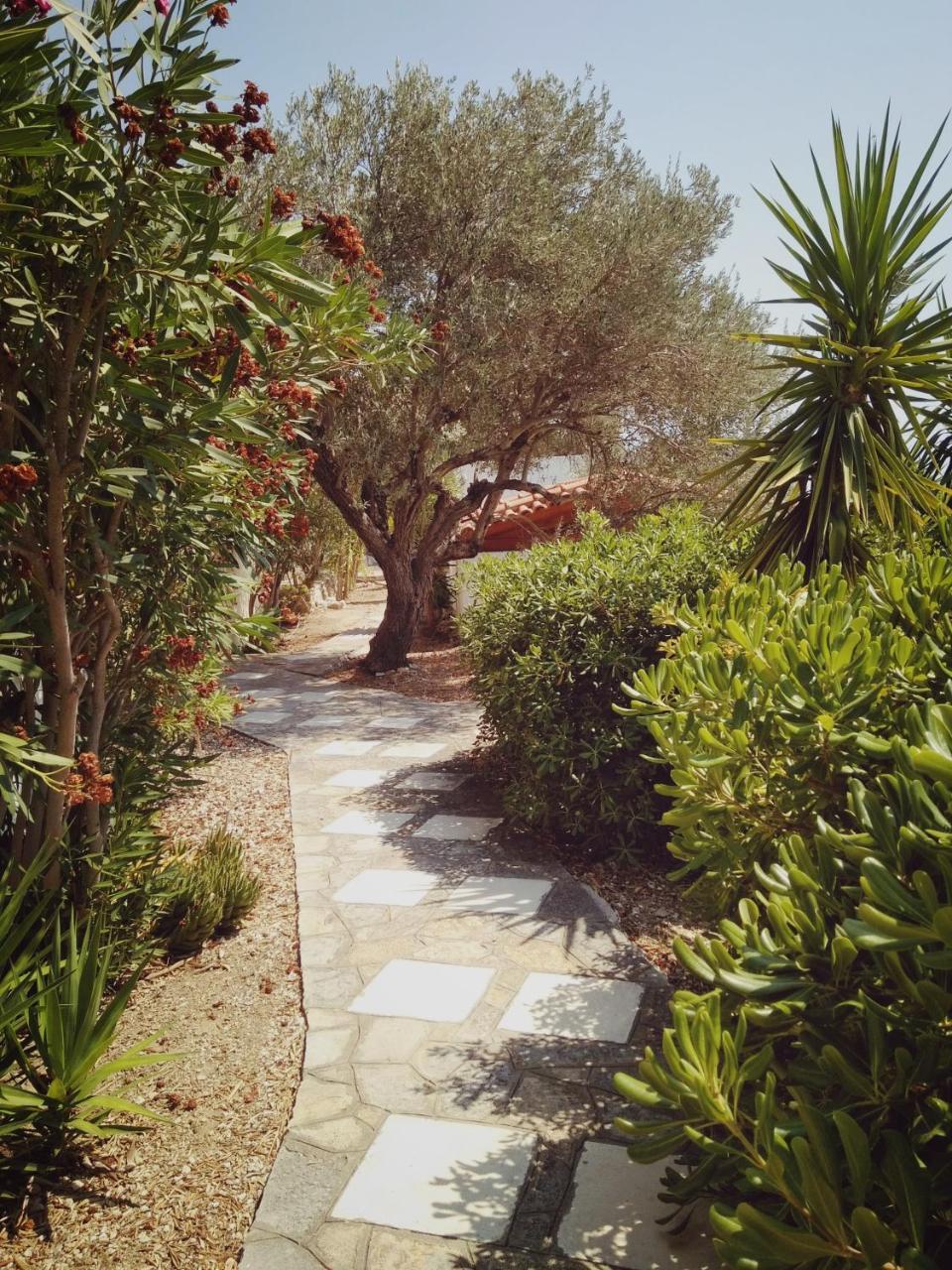 Vigla-Βίγλα 1 2 Villa Ormos  Exterior photo